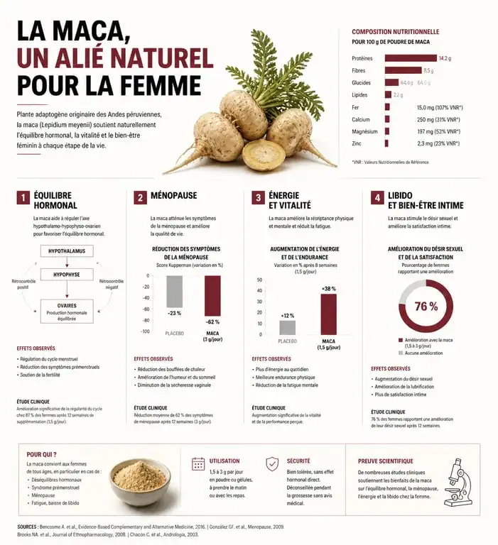 Infographie des bienfaits de la maca pour la femme : équilibre hormonal, ménopause et vitalité