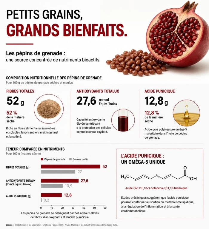 Infographie sur les bienfaits nutritionnels et la composition des pépins de grenade