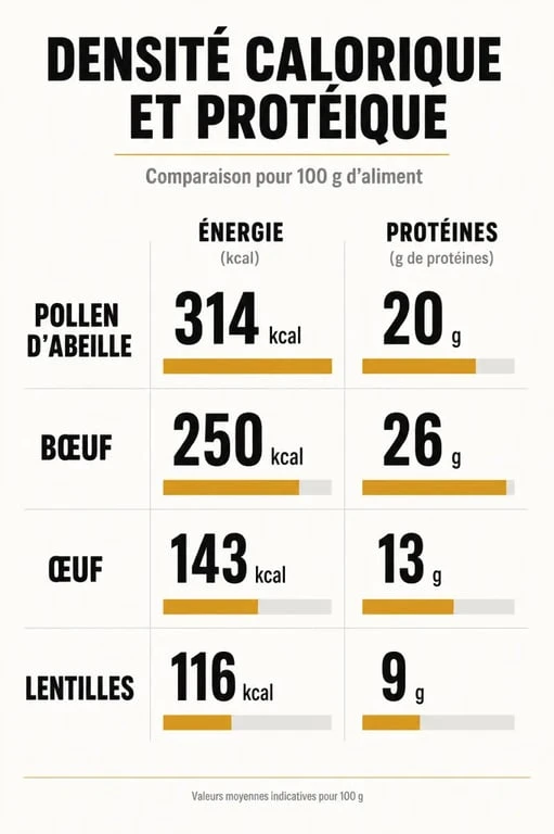 Infographie comparative des apports nutritionnels : pollen d'abeille et autres superaliments pour comprendre si le pollen fait grossir