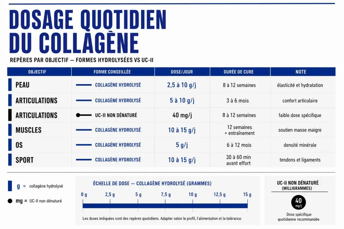 Combien de collagene par jour : comparatif visuel des doses selon la peau, les articulations, le sport et les os